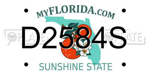 D2584S Florida License Plate