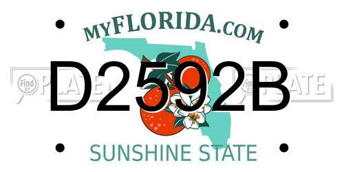 D2592B Florida License Plate
