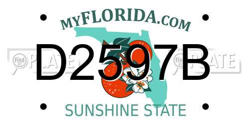 D2597B Florida License Plate