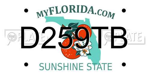 D259TB Florida License Plate