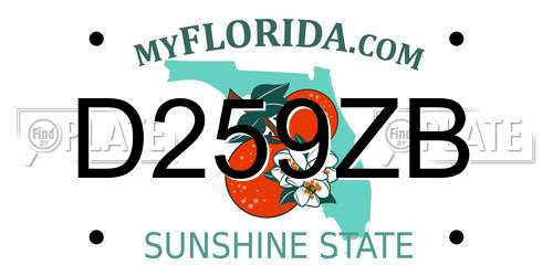 D259ZB Florida License Plate