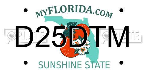 D25DTM Florida License Plate