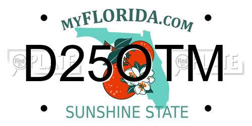 D25OTM Florida License Plate