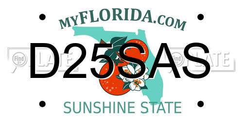 D25SAS Florida License Plate