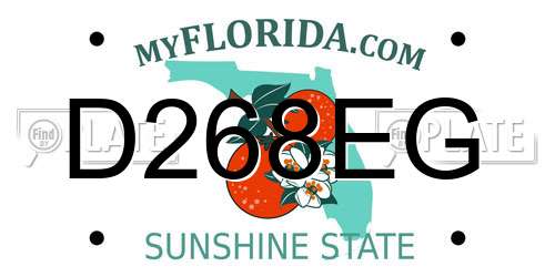 D268EG Florida License Plate
