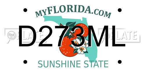 D273ML Florida License Plate