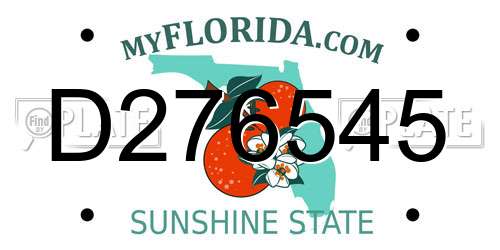 D276545 Florida License Plate