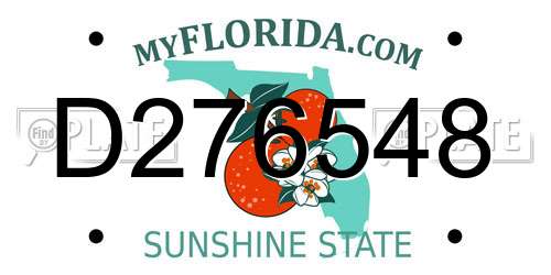 D276548 Florida License Plate