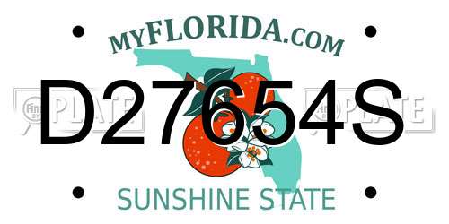 D27654S Florida License Plate