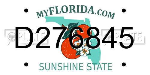 D276845 Florida License Plate
