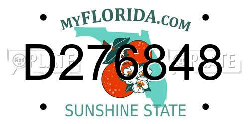 D276848 Florida License Plate