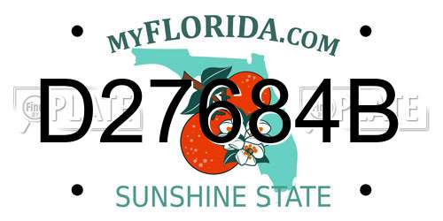 D27684B Florida License Plate