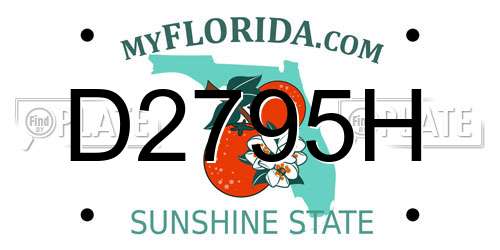 D2795H Florida License Plate