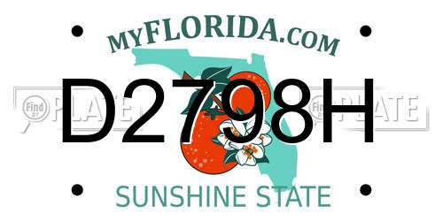 D2798H Florida License Plate