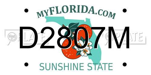 D2807M Florida License Plate
