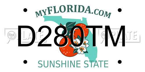 D280TM Florida License Plate