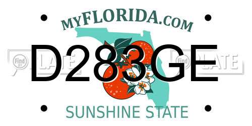 D283GE Florida License Plate