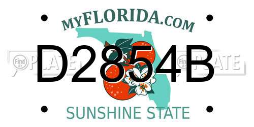 D2854B Florida License Plate