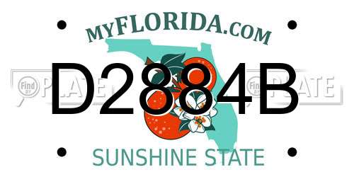 D2884B Florida License Plate