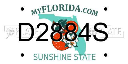 D2884S Florida License Plate