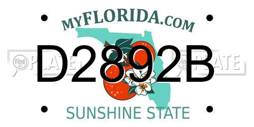 D2892B Florida License Plate