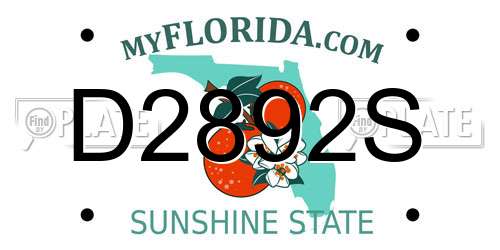 D2892S Florida License Plate