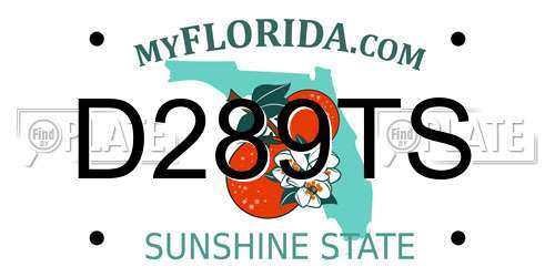D289TS Florida License Plate