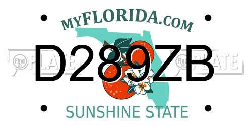 D289ZB Florida License Plate