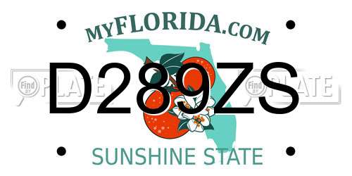 D289ZS Florida License Plate