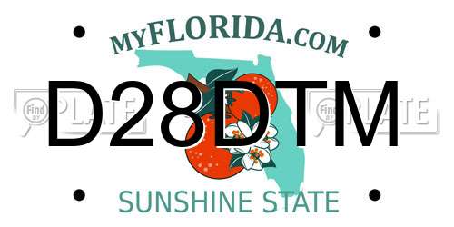 D28DTM Florida License Plate
