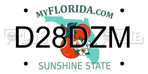 D28DZM Florida License Plate