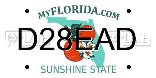 D28EAD Florida License Plate