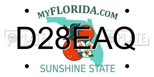 D28EAQ Florida License Plate