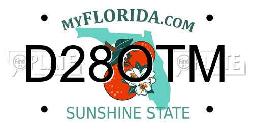 D28OTM Florida License Plate