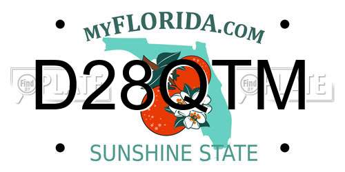 D28QTM Florida License Plate