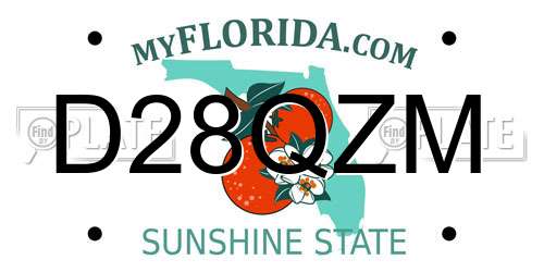 D28QZM Florida License Plate