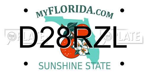 D28RZL Florida License Plate