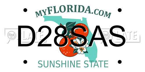 D28SAS Florida License Plate