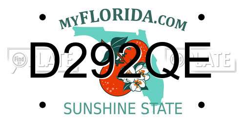 D292QE Florida License Plate
