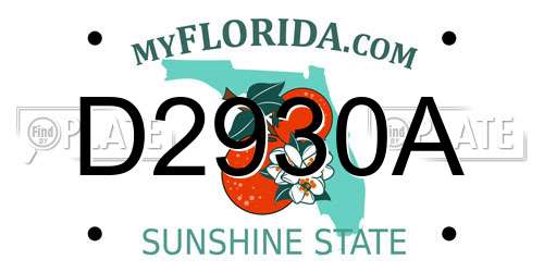 D2930A Florida License Plate