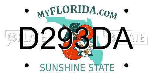 D293DA Florida License Plate