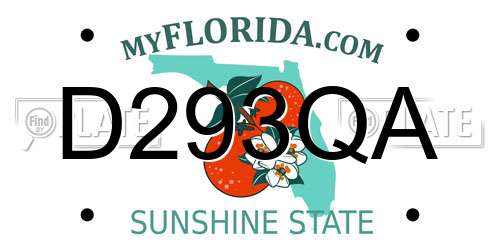 D293QA Florida License Plate