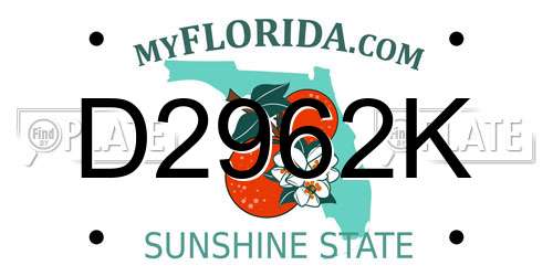 D2962K Florida License Plate