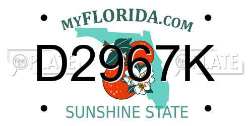D2967K Florida License Plate