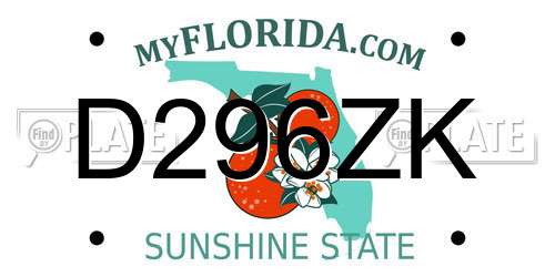 D296ZK Florida License Plate
