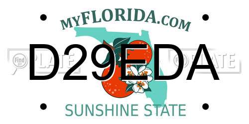 D29EDA Florida License Plate