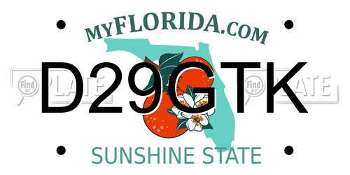 D29GTK Florida License Plate