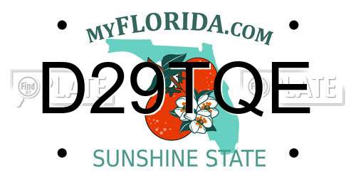 D29TQE Florida License Plate