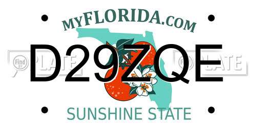 D29ZQE Florida License Plate
