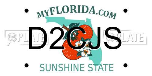 D2CJS Florida License Plate